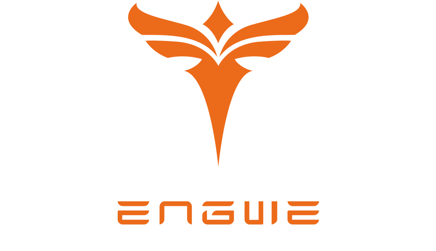 Engwe Electric Bikes