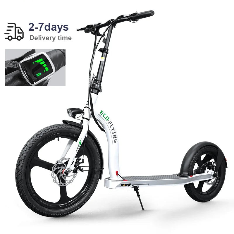 HI-FlYING-H100: Foldable Electric Scooter 10ah 350W