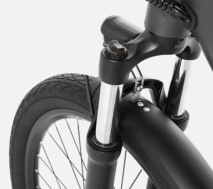 DYU-C1. MTB/City Electric Bike 250W 10AH LongRange