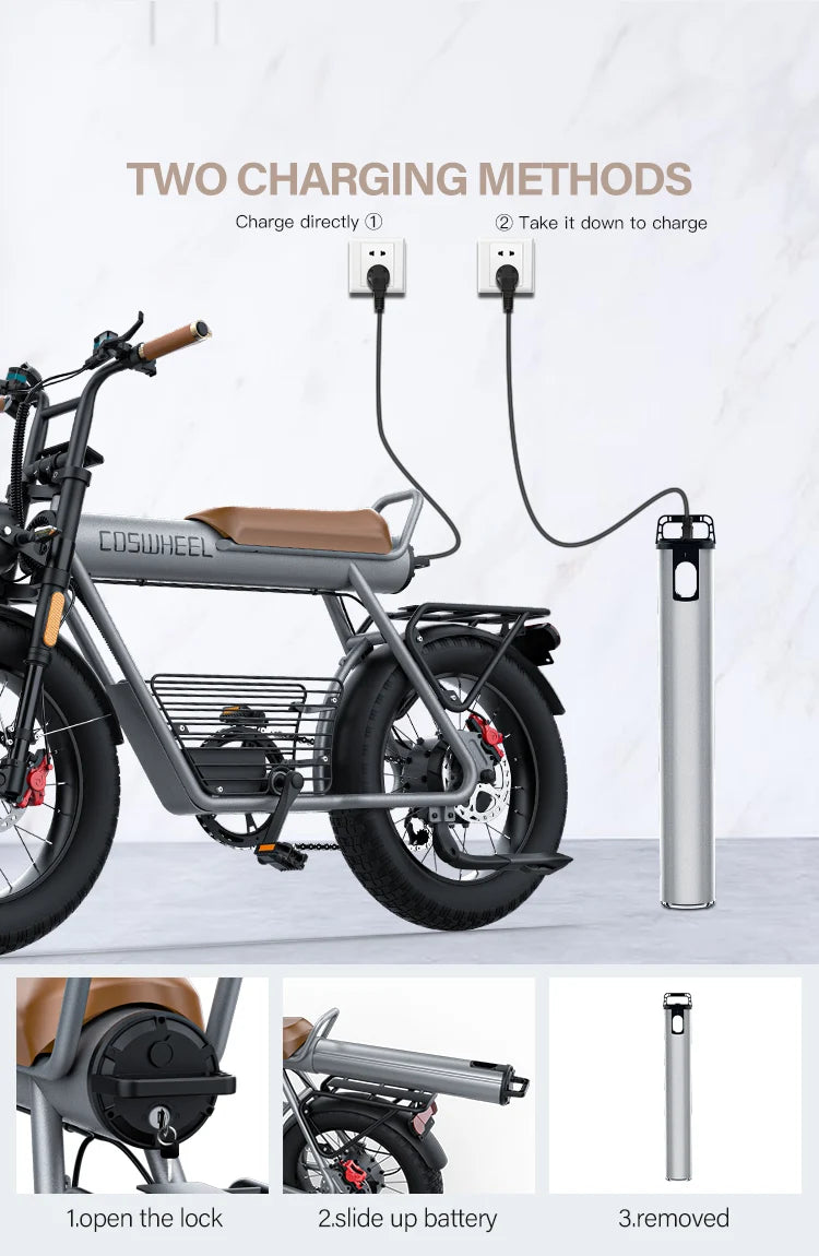 CosWheel-CT20 High Quality Electric Bicycle 1000W 25ah