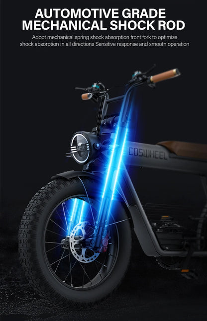 CosWheel-CT20 High Quality Electric Bicycle 1000W 25ah
