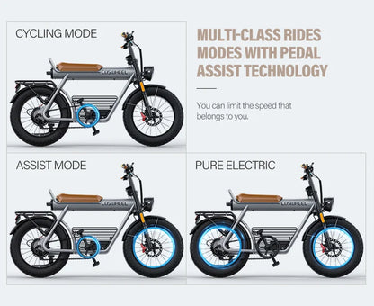 CosWheel-CT20 High Quality Electric Bicycle 1000W 25ah