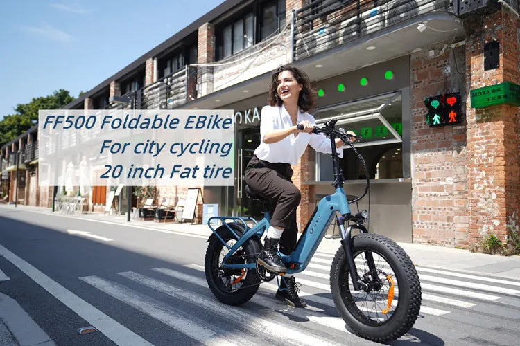 DYU-FF500. City Foldable Electric Bike 500W 14AH Bicycle