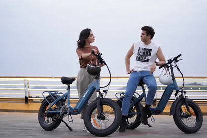 DYU-FF500. City Foldable Electric Bike 500W 14AH Bicycle