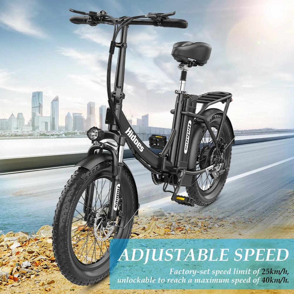 HIDOES-HD-C2 800Wa, 12ah,48V Foldable Electric Bike MTB City Fat Tyre Bicycle