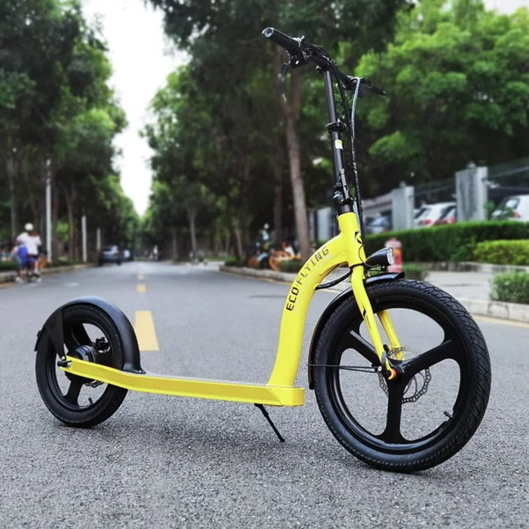 HI-FlYING-H100: Foldable Electric Scooter 10ah 350W