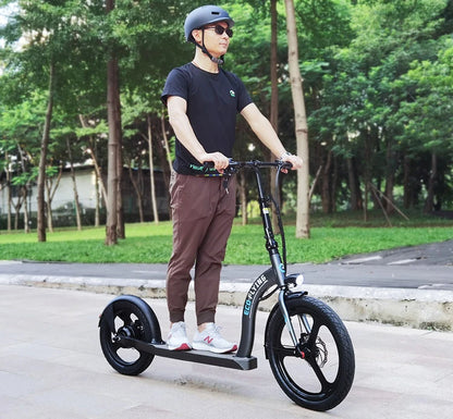 HI-FlYING-H100: Foldable Electric Scooter 10ah 350W