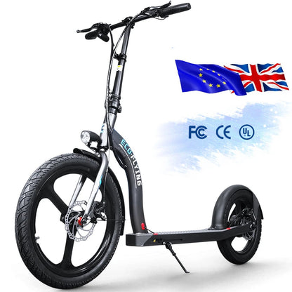 HI-FlYING-H100: Foldable Electric Scooter 10ah 350W
