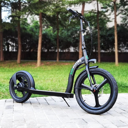 HI-FlYING-H100: Foldable Electric Scooter 10ah 350W