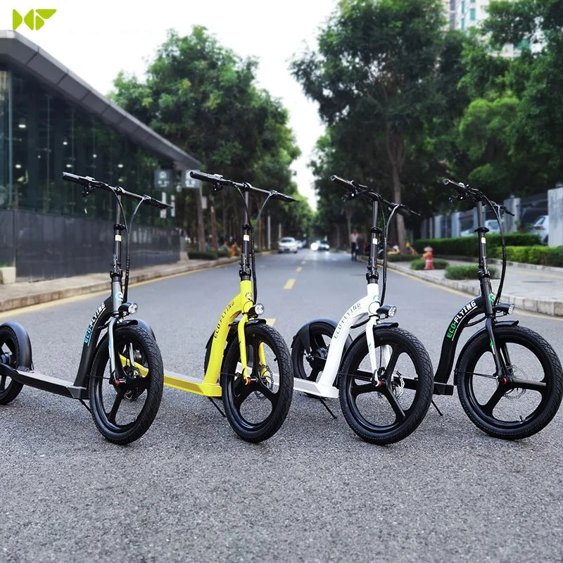 HI-FlYING-H100: Foldable Electric Scooter 10ah 350W