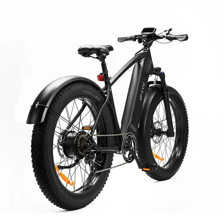 DYU-DYU-King750. Electric Bicycle 750W 20AH MTB/City eBike