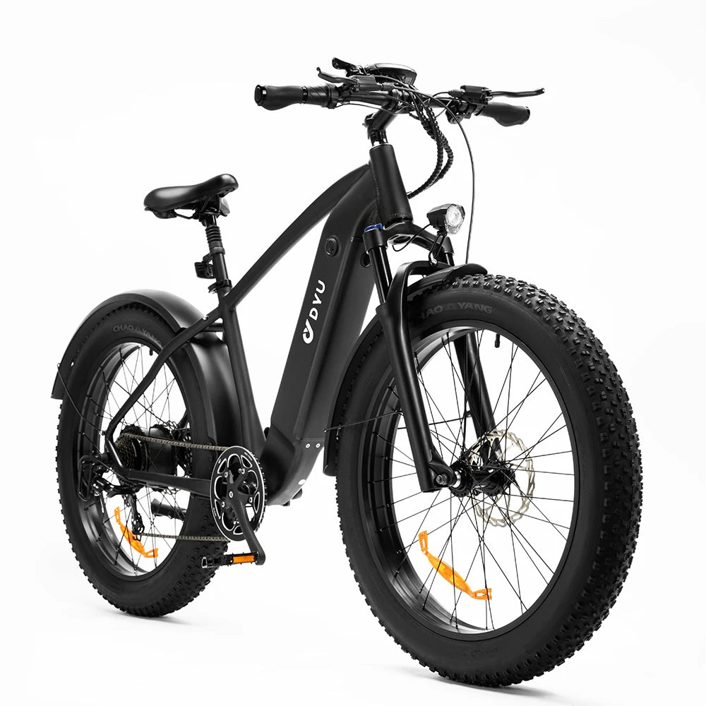 DYU-DYU-King750. Electric Bicycle 750W 20AH MTB/City eBike