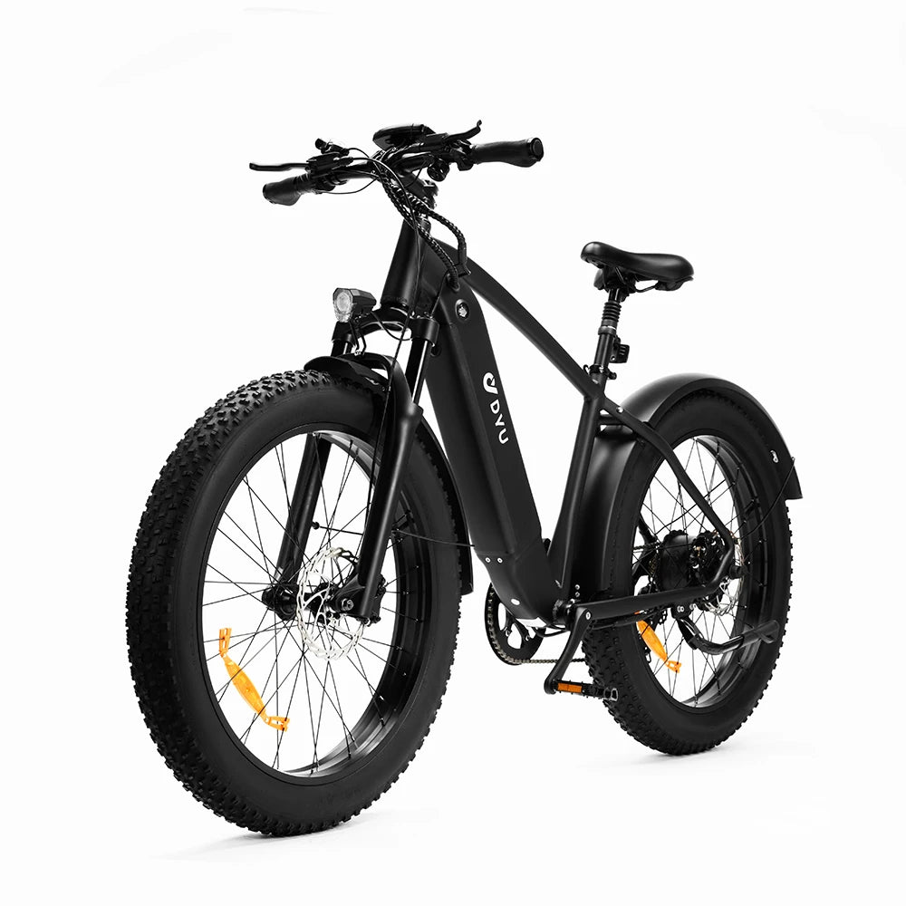 DYU-DYU-King750. Electric Bicycle 750W 20AH MTB/City eBike