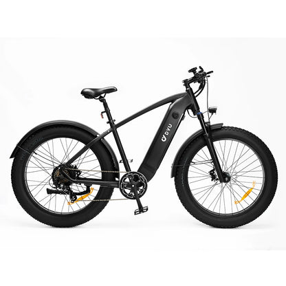 DYU-DYU-King750. Electric Bicycle 750W 20AH MTB/City eBike