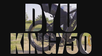 DYU-DYU-King750. Electric Bicycle 750W 20AH MTB/City eBike