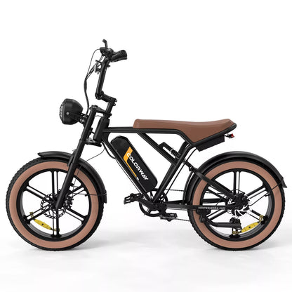 Colorway BK29 Electric Bike 250W 15Ah 48V