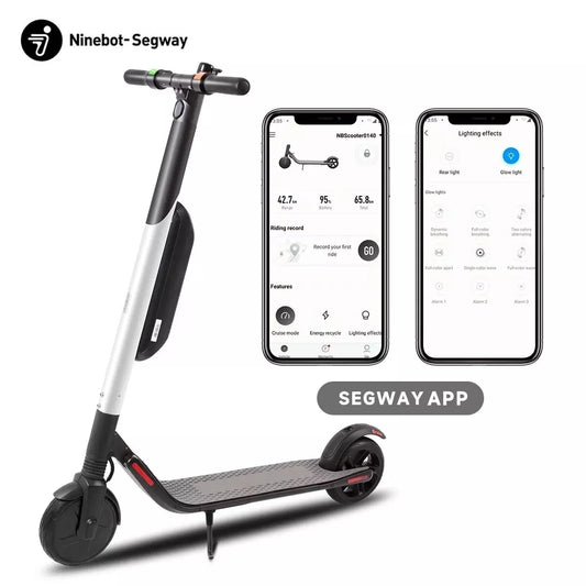 SUNNIGOO-ES4 eScooter 300W 10.4ah 8in Solid Tire Urban Electric Scooter with App